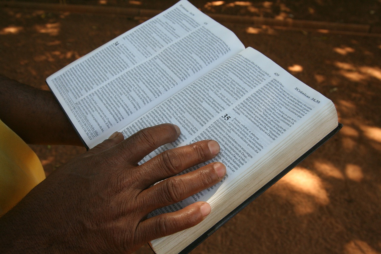 books in the bible