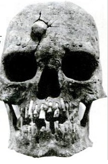 Goliath killed